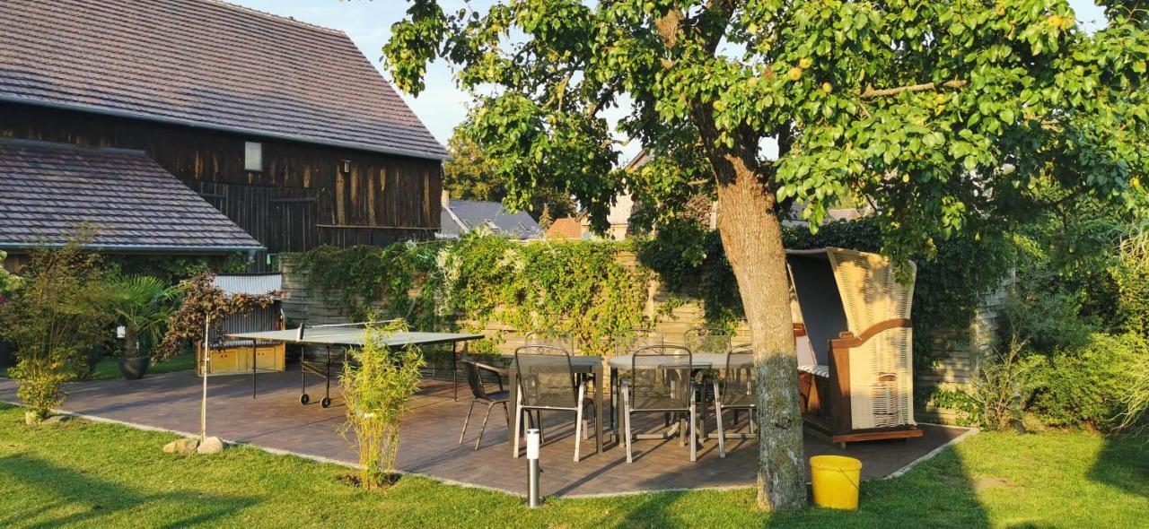 Dirk Laurisch Radensdorf